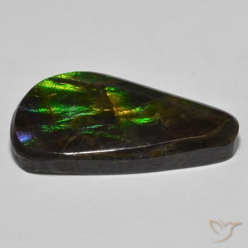 Ammolite Multicolore naturale da 15.09 ct, Taglio a fantasia, Opaco