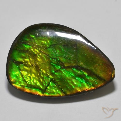24.89ct Naturale Multicolore Ammolite, Taglio a fantasia, Opaco