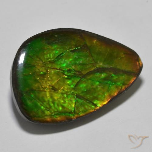 Ammolite Multicolore naturale da 24.89 ct, Taglio a fantasia, Opaco
