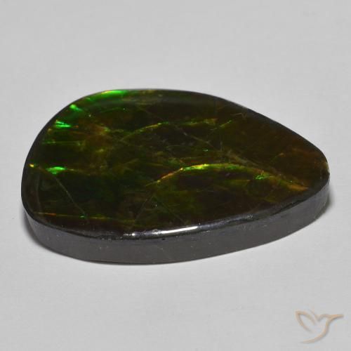 Ammolite Multicolore naturale da 24.89 ct, Taglio a fantasia, Opaco