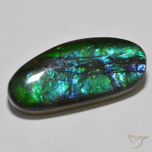 18.92ct Naturale Multicolore Ammolite, Taglio a fantasia, Opaco