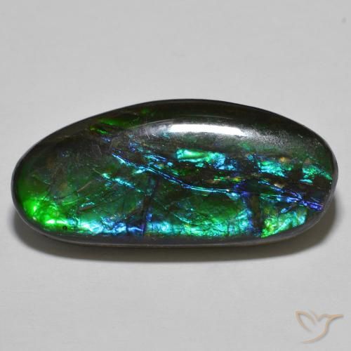 Ammolite Multicolore naturale da 18.92 ct, Taglio a fantasia, Opaco