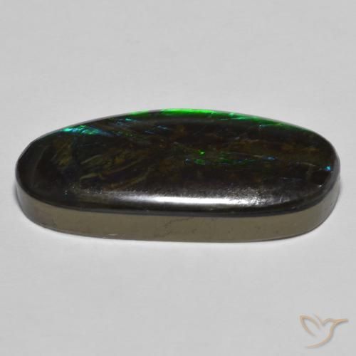 Ammolite Multicolore naturale da 18.92 ct, Taglio a fantasia, Opaco