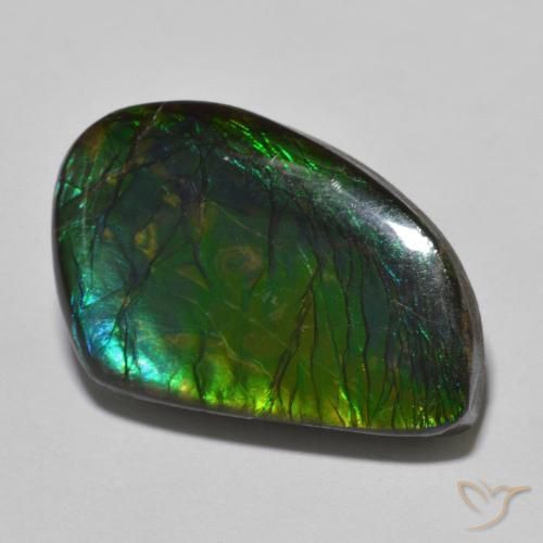 21.44ct Naturale Multicolore Ammolite, Taglio a fantasia, Opaco