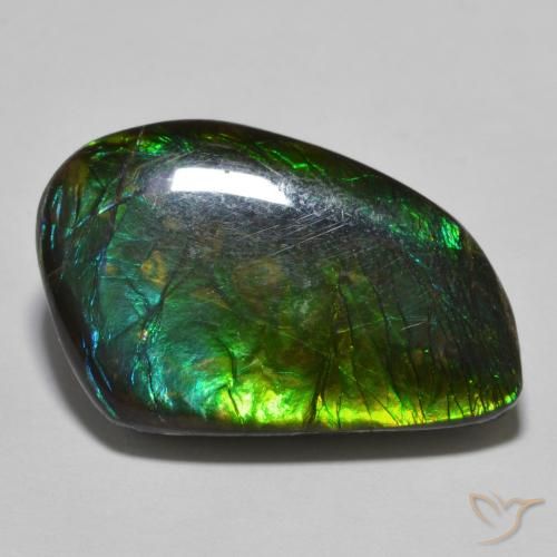 Ammolite Multicolore naturale da 21.44 ct, Taglio a fantasia, Opaco