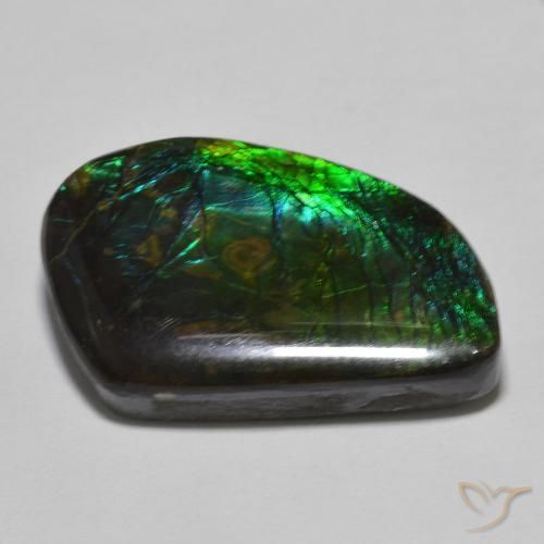 Ammolite Multicolore naturale da 21.44 ct, Taglio a fantasia, Opaco