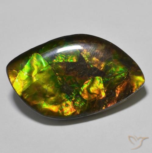 22.60ct Naturale Multicolore Ammolite, Taglio a fantasia, Opaco