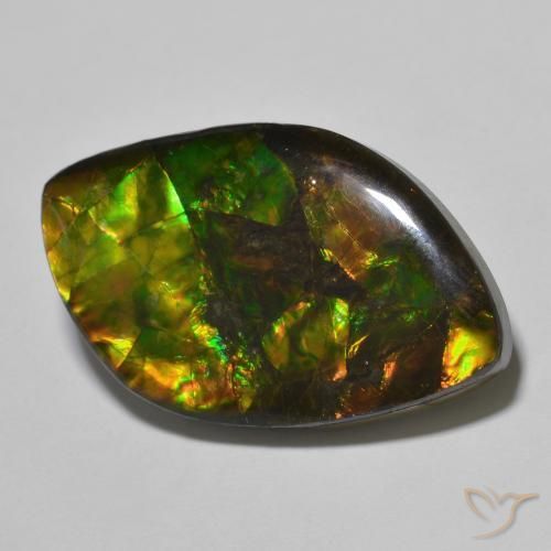 Ammolite Multicolore naturale da 22.60 ct, Taglio a fantasia, Opaco