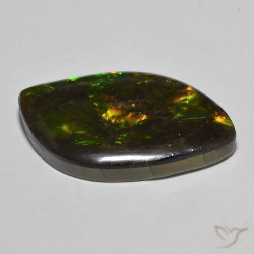 Ammolite Multicolore naturale da 22.60 ct, Taglio a fantasia, Opaco
