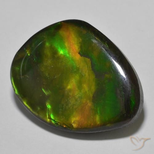 Ammolite Multicolore naturale da 22.15 ct, Taglio a fantasia, Opaco
