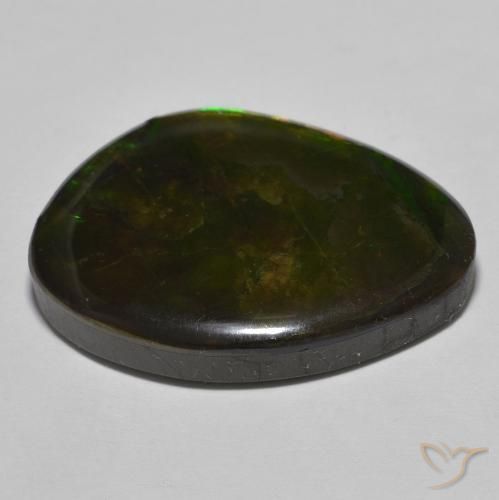 Ammolite Multicolore naturale da 22.15 ct, Taglio a fantasia, Opaco