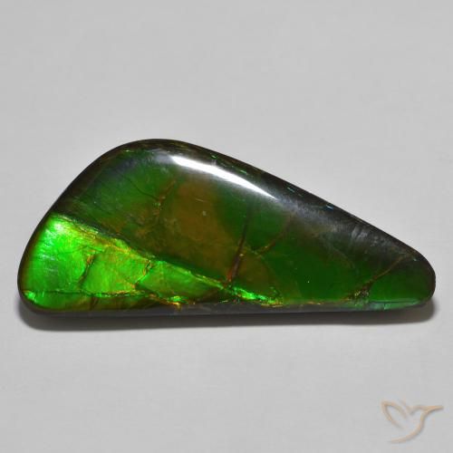 Ammolite Multicolore naturale da 22.11 ct, Taglio a fantasia, Opaco