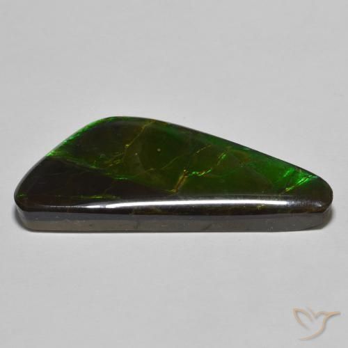 Ammolite Multicolore naturale da 22.11 ct, Taglio a fantasia, Opaco