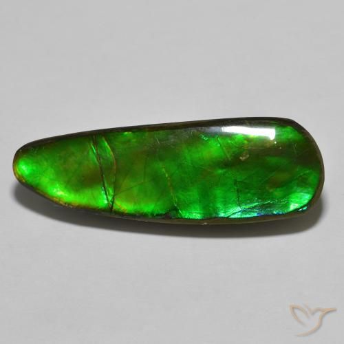 17.83ct Naturale Multicolore Ammolite, Taglio a fantasia, Opaco