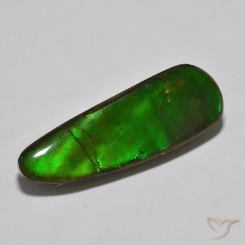 Ammolite Multicolore naturale da 17.83 ct, Taglio a fantasia, Opaco