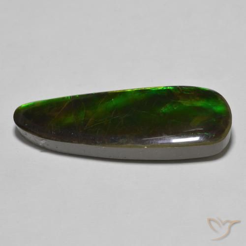 Ammolite Multicolore naturale da 17.83 ct, Taglio a fantasia, Opaco