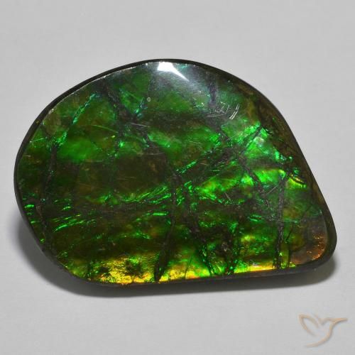 21.40ct Naturale Multicolore Ammolite, Taglio a fantasia, Opaco