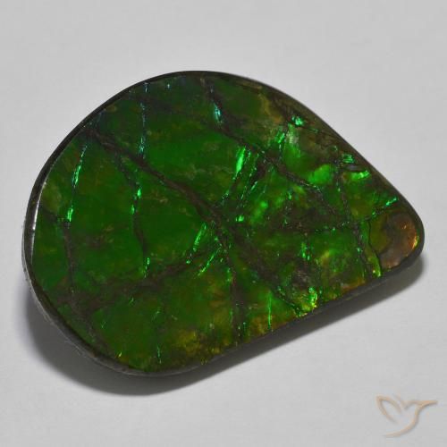 Ammolite Multicolore naturale da 21.40 ct, Taglio a fantasia, Opaco