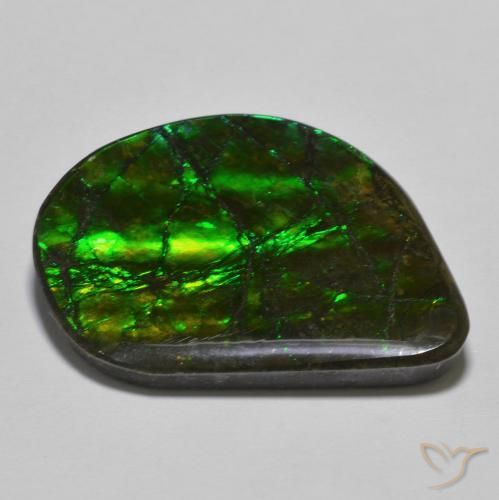 Ammolite Multicolore naturale da 21.40 ct, Taglio a fantasia, Opaco