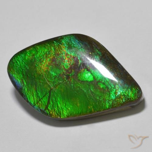 19.69ct Naturale Multicolore Ammolite, Taglio a fantasia, Opaco