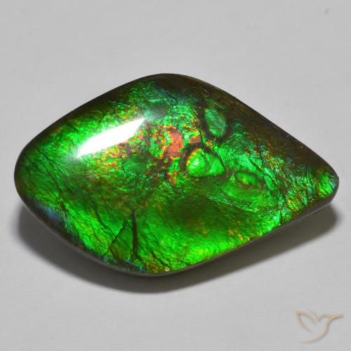 Ammolite Multicolore naturale da 19.69 ct, Taglio a fantasia, Opaco