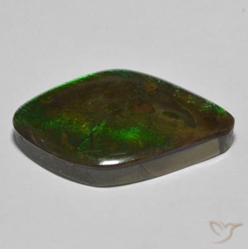 Ammolite Multicolore naturale da 19.69 ct, Taglio a fantasia, Opaco
