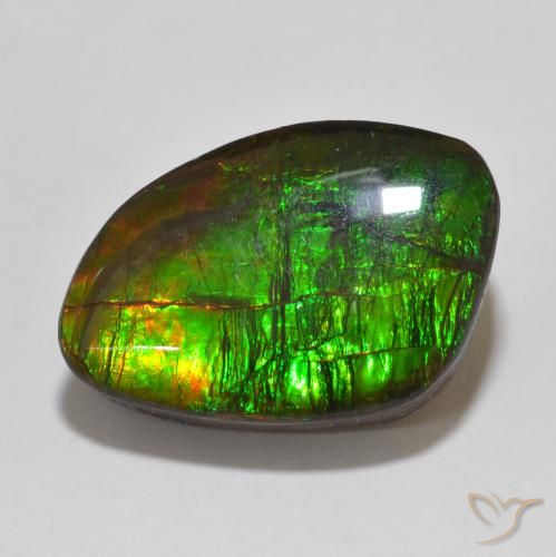 13.47ct Naturale Multicolore Ammolite, Taglio a fantasia, Opaco