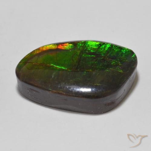 Ammolite Multicolore naturale da 13.47 ct, Taglio a fantasia, Opaco