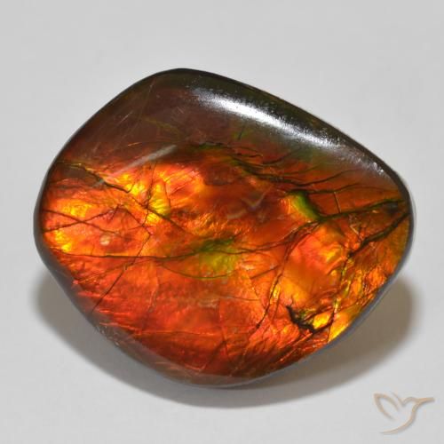 15.32ct Naturale Multicolore Ammolite, Taglio a fantasia, Opaco