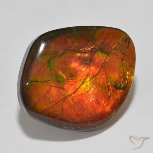 Ammolite Multicolore naturale da 15.32 ct, Taglio a fantasia, Opaco