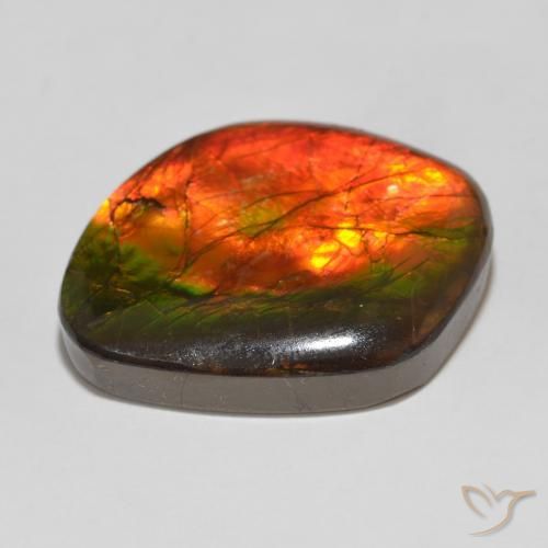 Ammolite Multicolore naturale da 15.32 ct, Taglio a fantasia, Opaco
