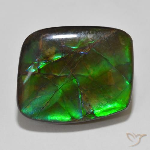 14.81ct Naturale Multicolore Ammolite, Taglio a fantasia, Opaco