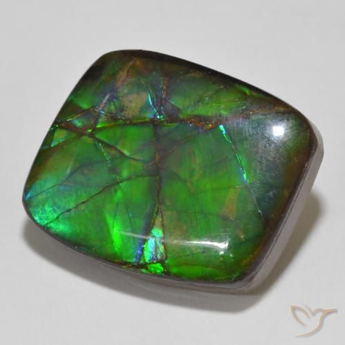 Ammolite Multicolore naturale da 14.81 ct, Taglio a fantasia, Opaco