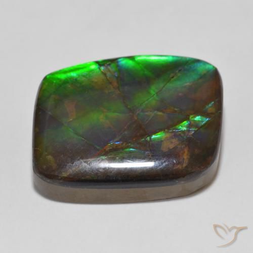 Ammolite Multicolore naturale da 14.81 ct, Taglio a fantasia, Opaco