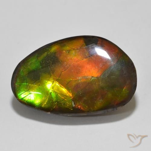 13.56ct Naturale Multicolore Ammolite, Taglio a fantasia, Opaco