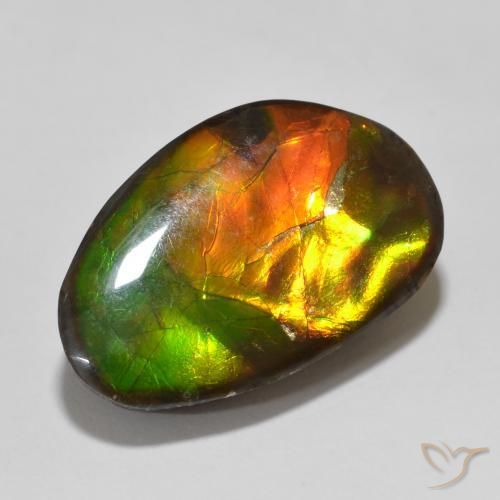 Ammolite Multicolore naturale da 13.56 ct, Taglio a fantasia, Opaco