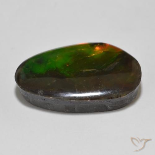 Ammolite Multicolore naturale da 13.56 ct, Taglio a fantasia, Opaco