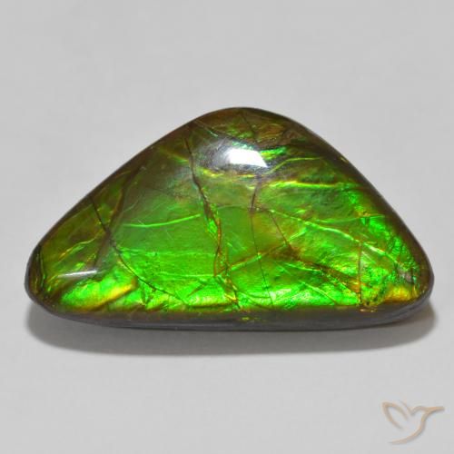 15.46ct Naturale Multicolore Ammolite, Taglio a fantasia, Opaco