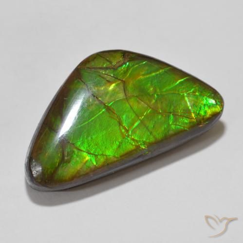 Ammolite Multicolore naturale da 15.46 ct, Taglio a fantasia, Opaco