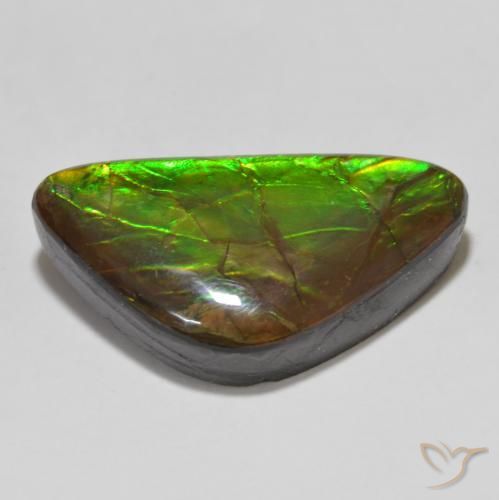 Ammolite Multicolore naturale da 15.46 ct, Taglio a fantasia, Opaco