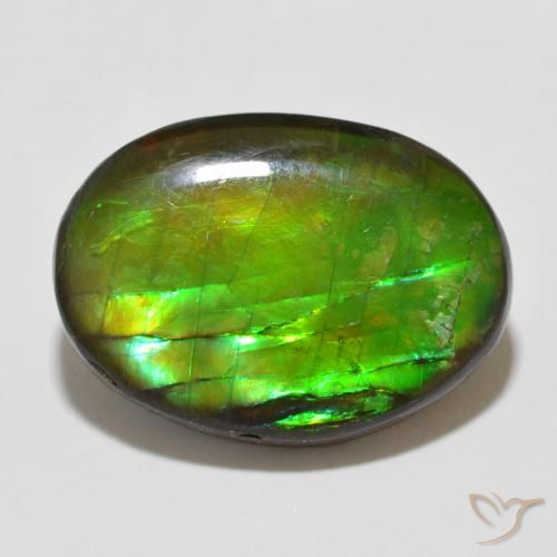 12.26ct Naturale Multicolore Ammolite, Ovale, Opaco