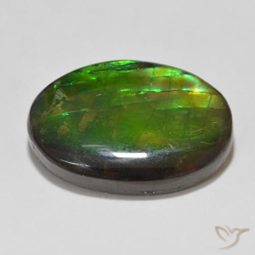 Ammolite Multicolore naturale da 12.26 ct, Ovale, Opaco