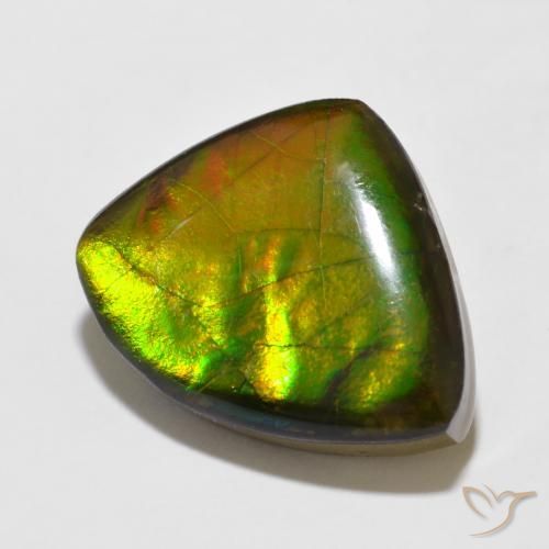 Ammolite Multicolore naturale da 11.47 ct, Taglio a fantasia, Opaco