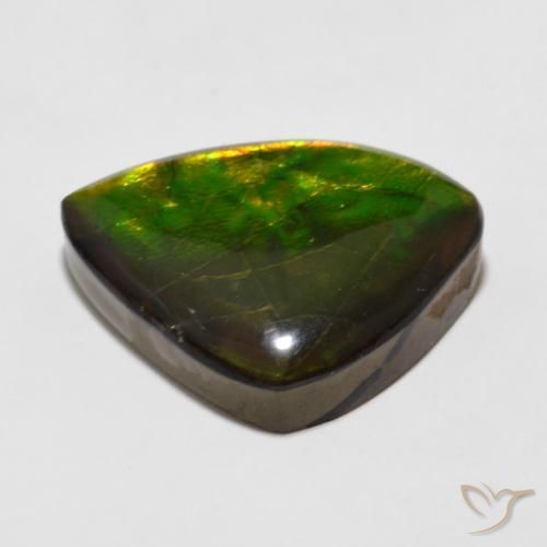 Ammolite Multicolore naturale da 11.47 ct, Taglio a fantasia, Opaco