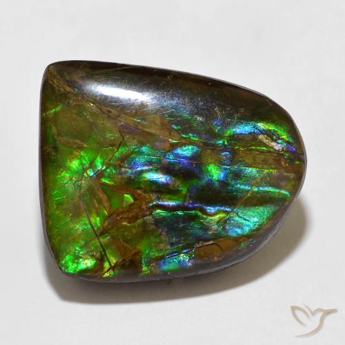 15.49ct Naturale Multicolore Ammolite, Taglio a fantasia, Opaco