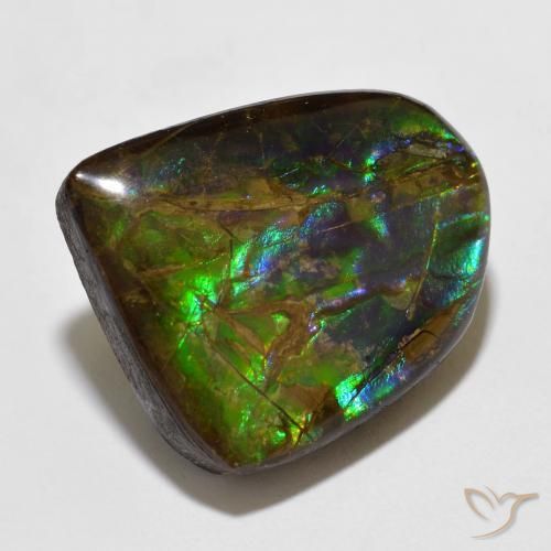 Ammolite Multicolore naturale da 15.49 ct, Taglio a fantasia, Opaco