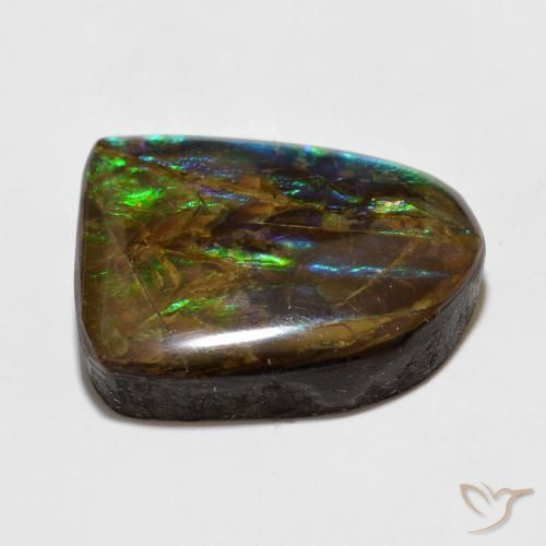 Ammolite Multicolore naturale da 15.49 ct, Taglio a fantasia, Opaco