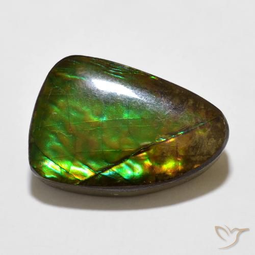 10.67ct Naturale Multicolore Ammolite, Taglio a fantasia, Opaco