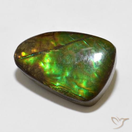 Ammolite Multicolore naturale da 10.67 ct, Taglio a fantasia, Opaco