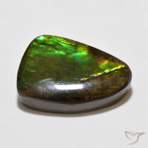 Ammolite Multicolore naturale da 10.67 ct, Taglio a fantasia, Opaco